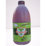 Antiseptic & Disinfectant (2L)