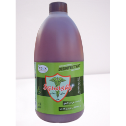 Antiseptic & Disinfectant (2L)