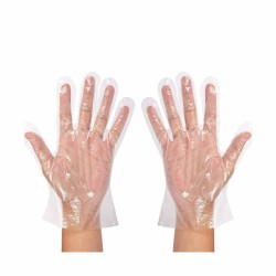 Disposable Polyethylene Gloves (One Size, 100pcs)