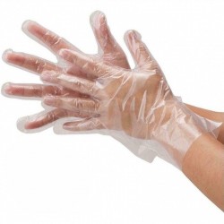 Disposable Polyethylene Gloves (One Size, 100pcs)